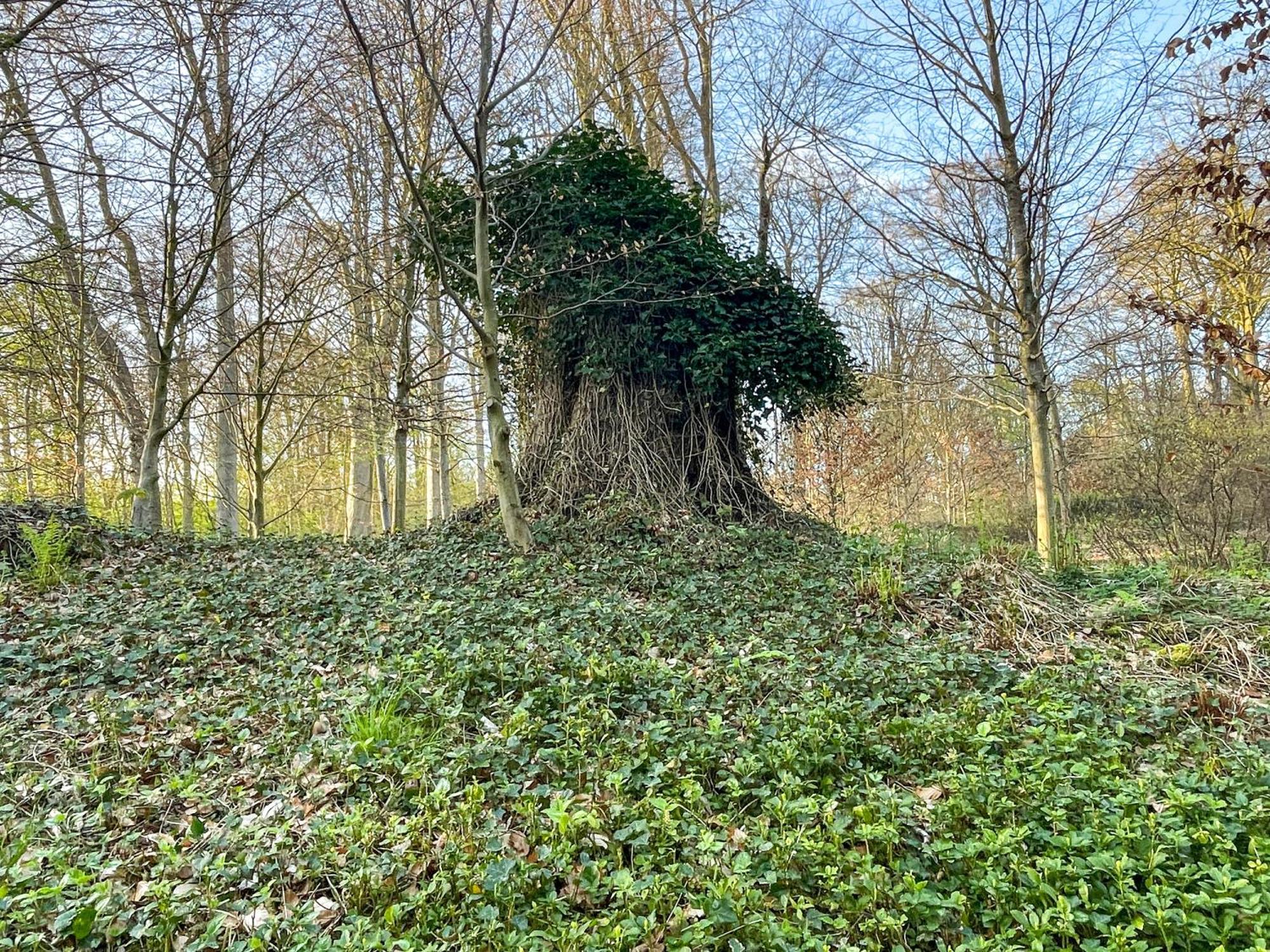Landhaus Beim Knoops Park Brémai repülőtér Kültér fotó